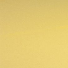 canary polyester