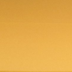 gold polyester